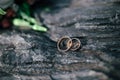 Beautiful rings of newlyweds