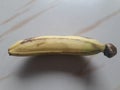 Beautiful ripe Banana