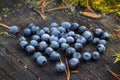 Beautiful ripe blueberries lying on a large tree stump