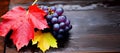 Beautiful Ripe Grape And Red Autumn Leaves