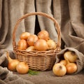 The beautiful and ripe onions in a basket