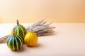 Beautiful ripe pumpkins and dry grass on beige background
