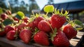 Beautiful ripe red strawberries close up