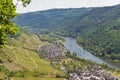 Beautiful, ripening vineyards in the spring season in western Germany, the Moselle river flowing between the hills. In the backgro Royalty Free Stock Photo