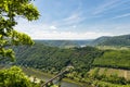 Beautiful, ripening vineyards in the spring season in western Germany, the Moselle river flowing between the hills. Visible railwa Royalty Free Stock Photo