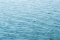 Beautiful ripples on the blue water surface. Natural background Royalty Free Stock Photo