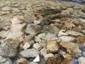 Beautiful ripples on river flow over colorful stones in summer