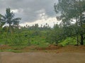 Beautiful rise tera Ambengan villagge