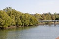 Beautiful river alongside with green mangrove forest with small wooden pedestrian bridge across the river. Royalty Free Stock Photo