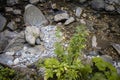 Beautiful river flowing in mountain canyons, slovenia Royalty Free Stock Photo