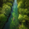 A beautiful river, a forest along the banks, a canoe boat floats along the river, a view from the top, aerial photography, Royalty Free Stock Photo