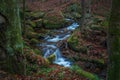 beautiful river in the Ilsetal that flows through a deciduous forest in autumn Royalty Free Stock Photo