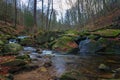 beautiful river in the Ilsetal that flows through a deciduous forest in autumn Royalty Free Stock Photo