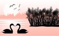 Two Swans in a Lake with Reeds in Sunrise Flat Landscape Royalty Free Stock Photo