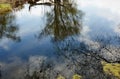 Beautiful river landscape. Reflection in the water of the river Royalty Free Stock Photo