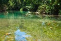 Peaceful River in Jamaica