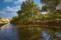 Beautiful river, a lot of greenery and trees Royalty Free Stock Photo