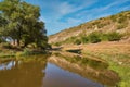 Beautiful river, a lot of greenery and trees Royalty Free Stock Photo