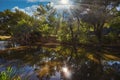 Beautiful river, a lot of greenery and trees Royalty Free Stock Photo