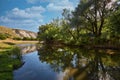 Beautiful river, a lot of greenery and trees Royalty Free Stock Photo