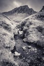 Beautiful river in mountain pass Iraty, irau, basque country, france Royalty Free Stock Photo