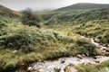 Beautiful river in mountain pass Iraty, irau, basque country, france Royalty Free Stock Photo