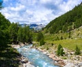 A beautiful river in the mountains with green grass