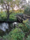 Beautiful  river  and old wooden bridge in the wood at sunset Royalty Free Stock Photo