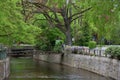 Beautiful river Ooc in Baden-Baden and the bridge over it, a large tree and flowers of wisteria Royalty Free Stock Photo