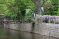 Beautiful river Ooc in Baden-Baden and the bridge over it, a large tree and flowers of wisteria Royalty Free Stock Photo