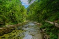 Beautiful river Radovna in Vintgar gorge close to Bled lake