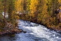 Beautiful river with rapids  in autumn forest, Oulanka National park, Finland Royalty Free Stock Photo