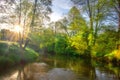 Beautiful river scene at sunrise. Green summer landscape on riverside. Scenery river. Bright sun on riverbank