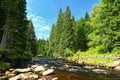 Beautiful river with stones and trees in the mountains with forest. Nature - landscape. Background with blue sky and sun - Vydra Royalty Free Stock Photo