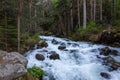 Beautiful river stream through deep forest in. Royalty Free Stock Photo
