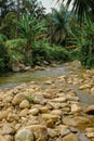 Beautiful river stream at Raub, Pahang, Malaysia. Royalty Free Stock Photo