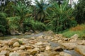 Beautiful river stream at Raub, Pahang, Malaysia. Royalty Free Stock Photo