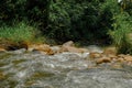 Beautiful river stream at Raub, Pahang, Malaysia. Royalty Free Stock Photo