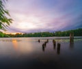 Beautiful river surrounded by rich green vegetation and remnants of pier at sunset