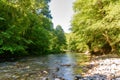 The beautiful river Sutjeska in Bosnia and Herzegovina Royalty Free Stock Photo