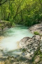 Beautiful river Tescio in the green forest in Umbria Royalty Free Stock Photo