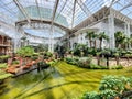 Beautiful river and tropical plants inside of Gaylord Opryland Resort and Convention Center near Nashville, Tennessee, U.S