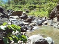 A beautiful river water landscape by a large river filled with boulders