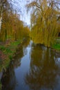 Beautiful river and weaping willows