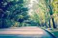 Beautiful road in deep green and yellow forest in wild. - Split Royalty Free Stock Photo