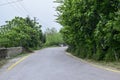 A beautiful road in the green Royalty Free Stock Photo