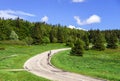 Beautiful road in green fields, natural landscape Royalty Free Stock Photo