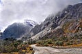 Beautiful road in the himalaya