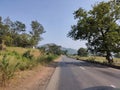 Beautiful road landscape image full of greenery from village in India Royalty Free Stock Photo