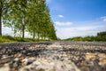 Beautiful Road Line Closup in Palic, Vojvodina, Serbia in Summer